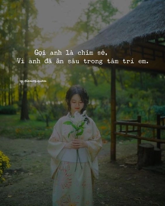 Hình ảnh vui nhộn 7