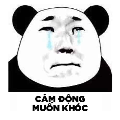 Ảnh meme hài hước